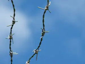 Barbed wire strand against a blue sky