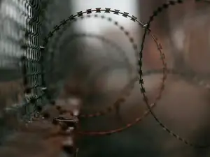 Razor wire coil on a boundary fence