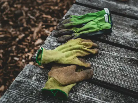 Work gloves resting on a timber plank